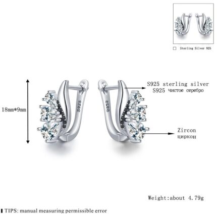 Classic Wings Shape Women's Drop-shaped Zircon - Black