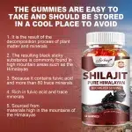 Shilajit Gummies - Energy Boost, Help with Muscle Recovery, Reduce Fatigue, Improves Memory and Concentration - 60 Gummies - Image 3